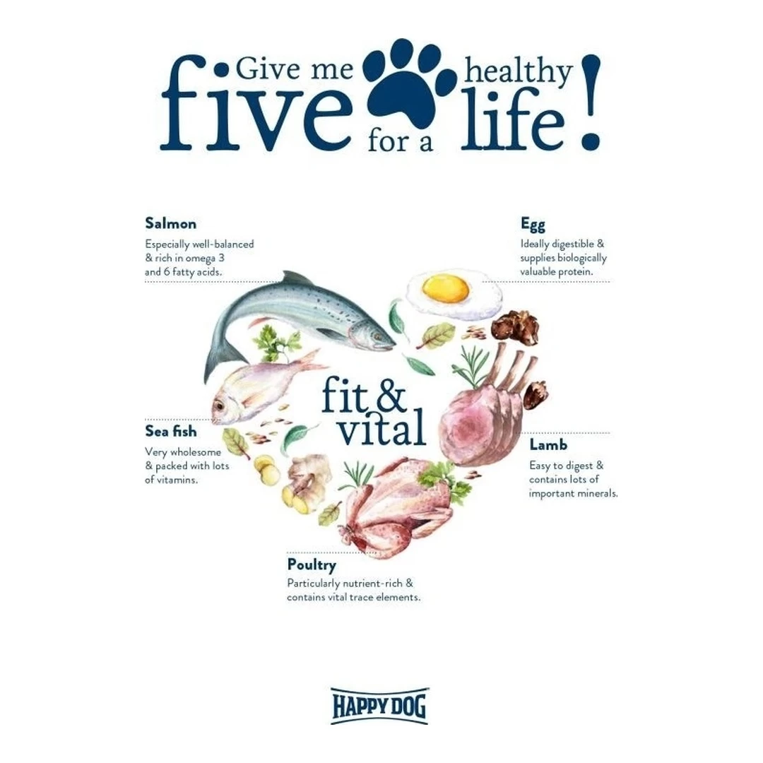 Hrană uscată Happy Dog Fit & Vital Mini Senior - imagine 2
