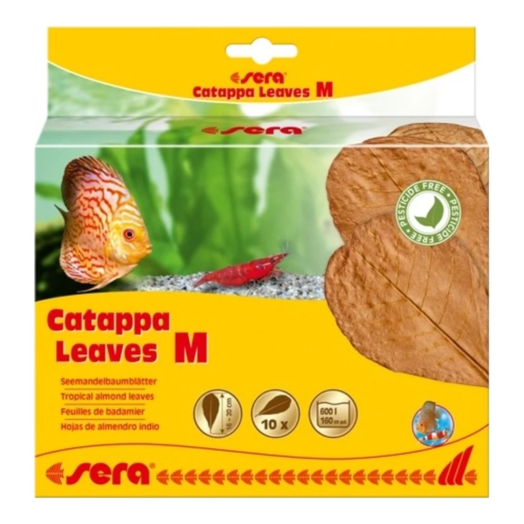 Frunze de migdal tropical pentru condiționarea naturală a apei Sera Catappa Leaves M Frunze de migdal tropical pentru condiționarea naturală a apei Sera Catappa Leaves M - imagine 1