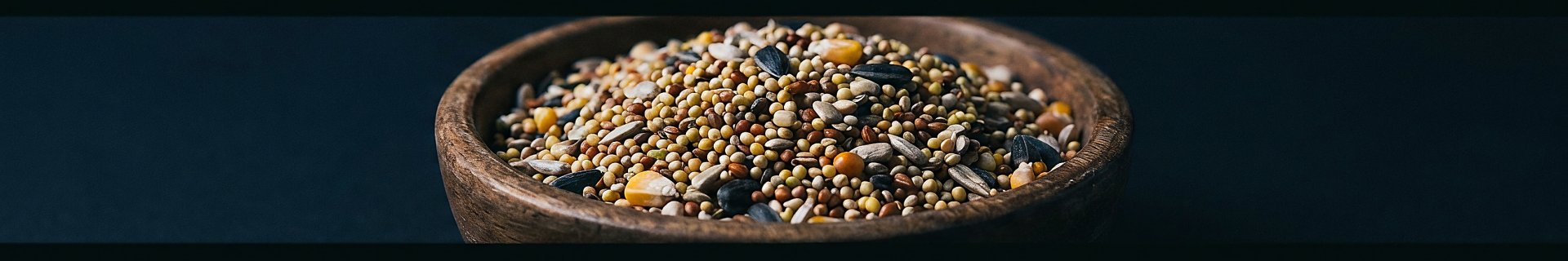 Fundal pagina categorie Hrana pasari - Dynavit